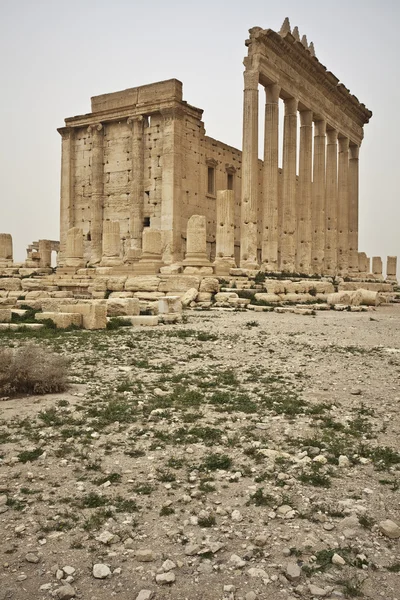 Las ruinas del templo en Palmira — Foto de Stock