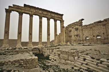 eski palmyra Suriye kalıntıları