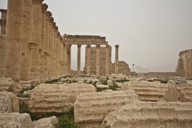 Colonnade, eski palmyra Suriye kalıntıları