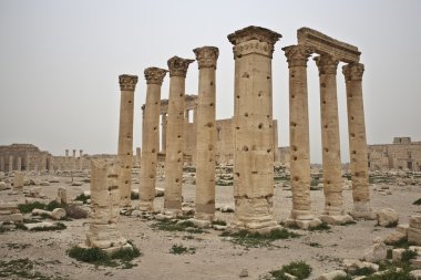 Ruins of ancient Palmyra, Syria clipart