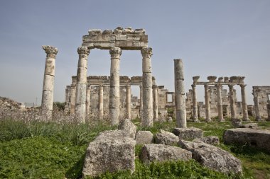 apamea (afamia), Suriye kalıntıları