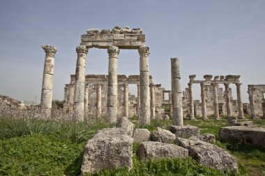 Ruins of Apamea (Afamia), Syria clipart