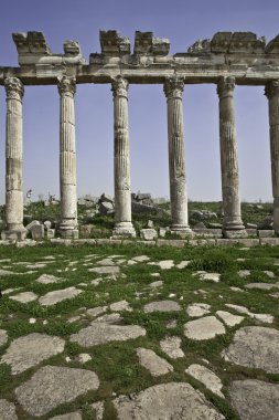 Colonnade apamea Suriye ana cadde üzerinde