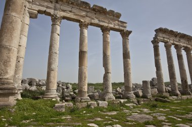 apamea (afamia), Suriye kalıntıları