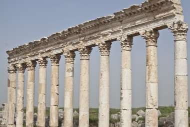 Colonnade