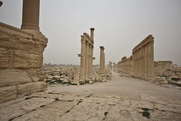 古代巴尔米拉，叙利亚的废墟 — 图库照片