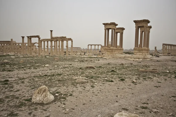 古代巴尔米拉的废墟。叙利亚. — 图库照片