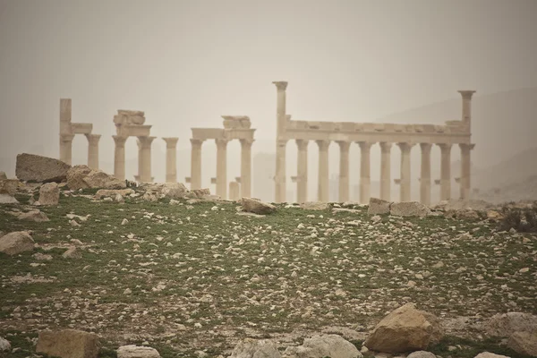 柱廊，古代巴尔米拉，叙利亚的废墟 — 图库照片