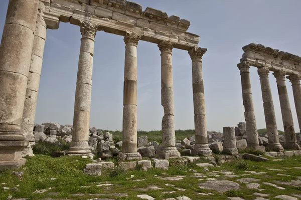 Ruiny z Apamei (afamia), syria — Zdjęcie stockowe