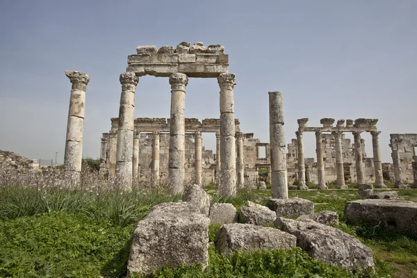 Ruiny z Apamei (afamia), syria — Zdjęcie stockowe