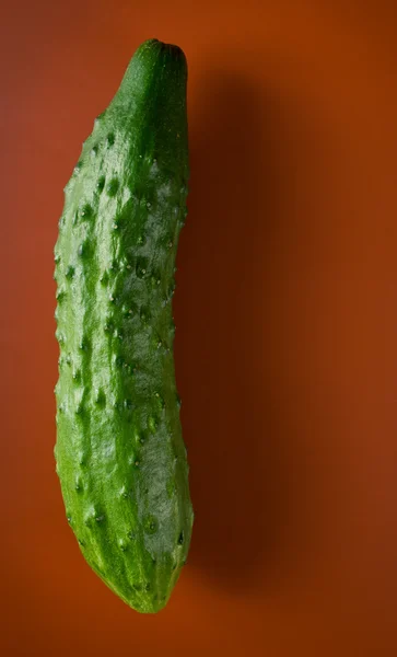 Komkommer — Stockfoto