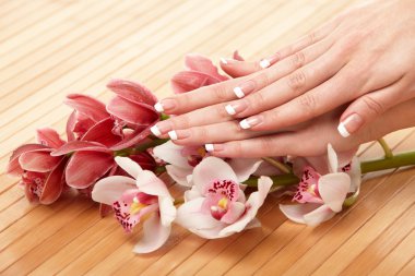 Spa hands clipart