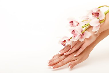 Hands and orchid clipart