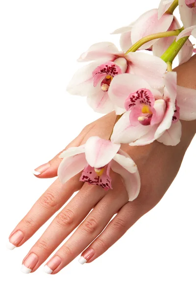 Mão e orquídea — Fotografia de Stock
