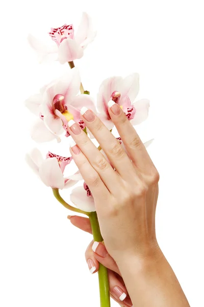 Hände und Orchidee — Stockfoto