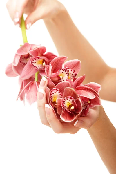 Handen en orchid — Stockfoto