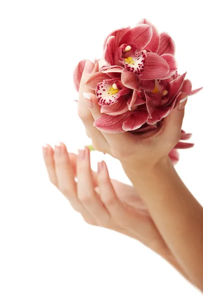 Mãos e orquídea — Fotografia de Stock