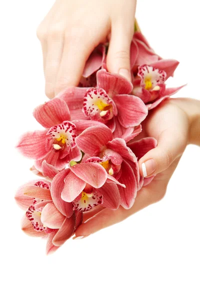 Handen en orchid — Stockfoto