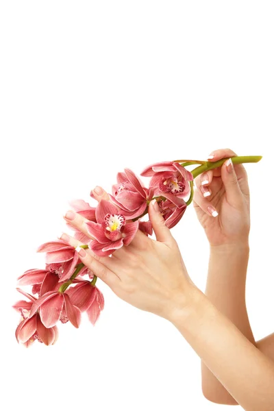 Hände und Orchidee — Stockfoto