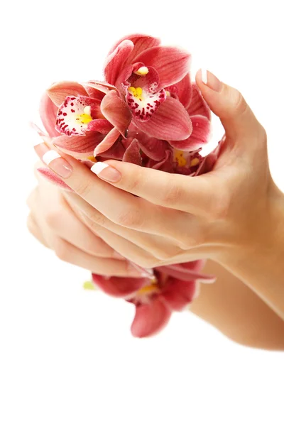 Mãos e orquídea — Fotografia de Stock