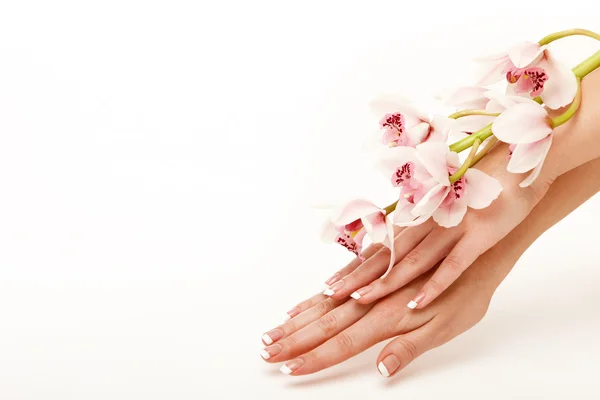 Hands and orchid — Stock Photo, Image