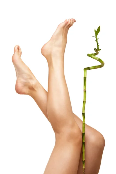 Mooie benen van jonge vrouw — Stockfoto