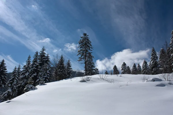 新鮮な雪 — ストック写真
