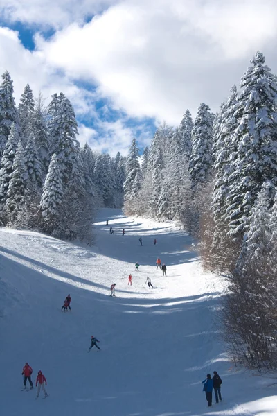 Esqui usando skilift — Fotografia de Stock