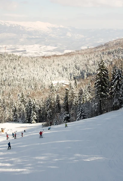 Skilift kullanarak kayakçı — Stok fotoğraf