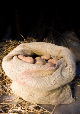 Bir çuval patates.