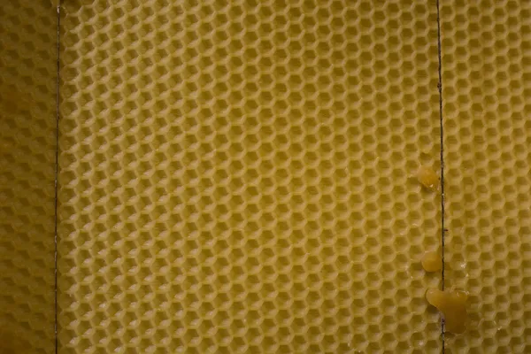 Honey Comb Background — Stock Photo, Image