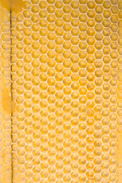 蜂蜜の櫛の背景 — ストック写真