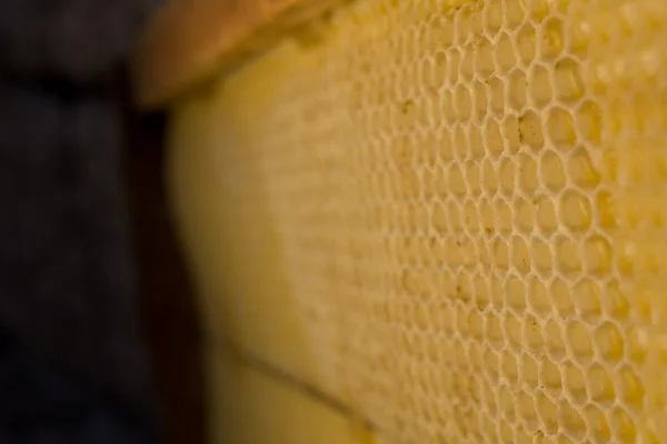 벌 꿀 빗 배경 — 스톡 사진