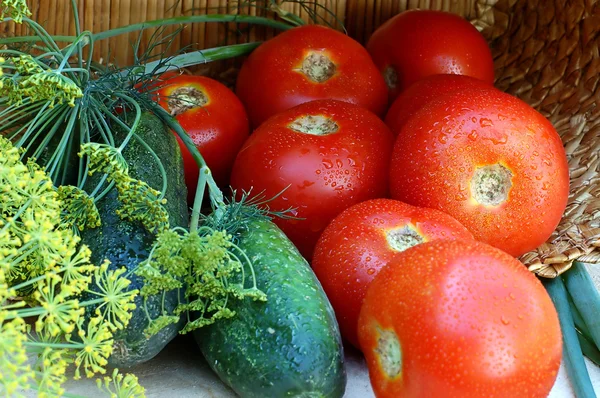 stock image Tomatoes ad cucumbers