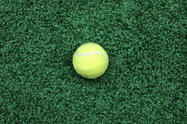 Sarı tenis topu
