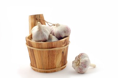 Garlic clipart