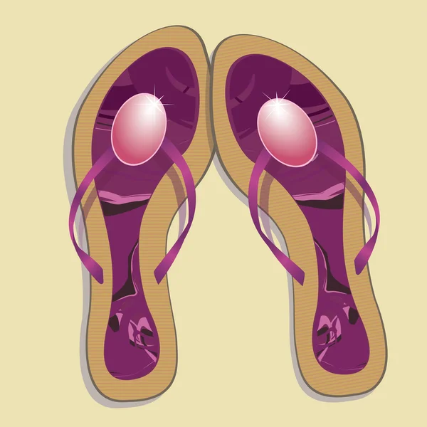 Beach footwear. Vector illustration — Stock Vector