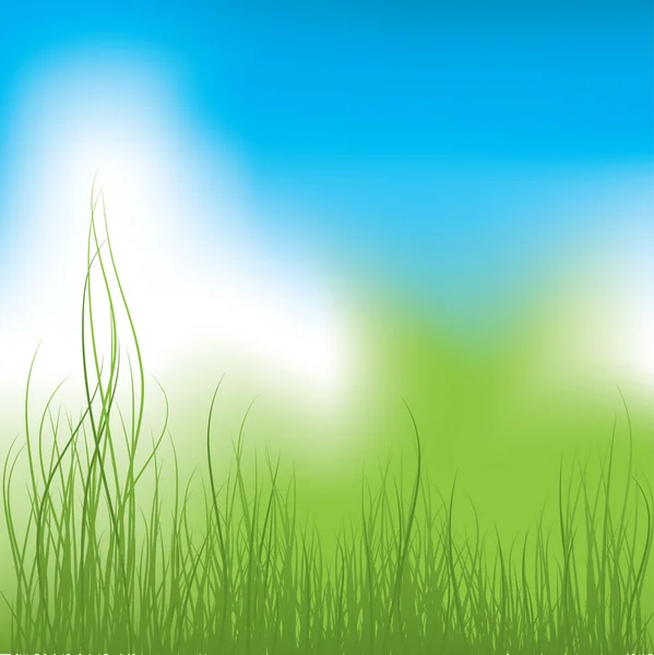 绿草和蓝蓝的天空。矢量插画 — 图库矢量图片