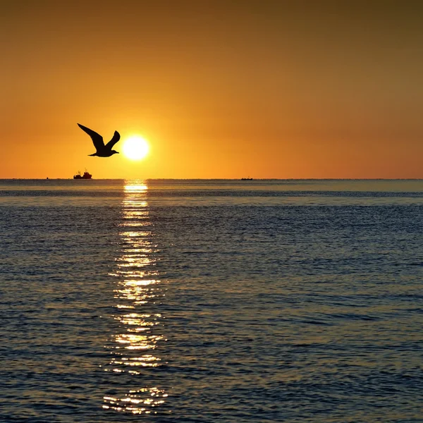 Sonnenaufgang am Schwarzen Meer — Stockfoto