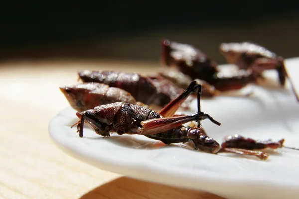 Fried grasshoppers — Stock Photo, Image