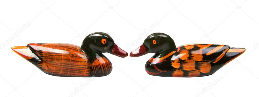 Isolated two ducks face to face