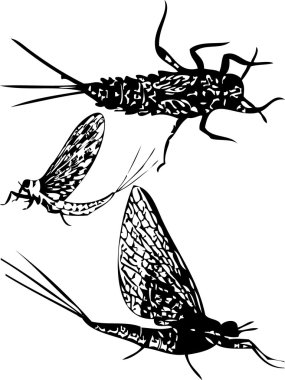 Silhouettes of mayfly insect clipart