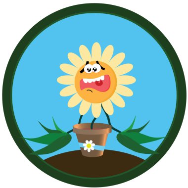 Sticker chamomile. 5 clipart