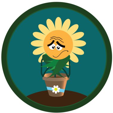 Sticker chamomile. 3 clipart