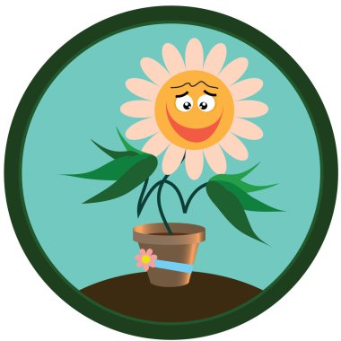 Sticker chamomile. 7 clipart