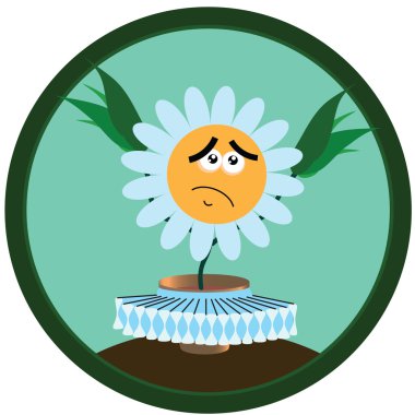 Sticker chamomile. 12 clipart