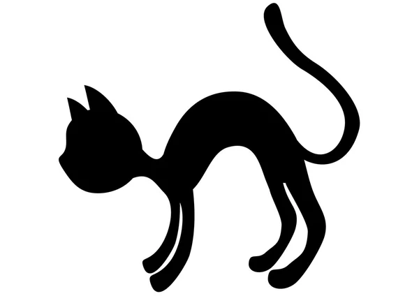 Kotě — Stockový vektor