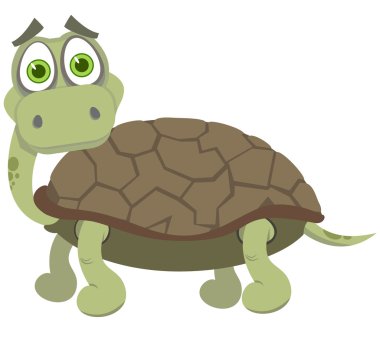 The surprised turtle. A vector illustration clipart