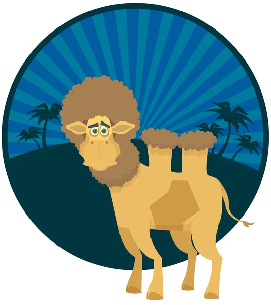 Un hombre guapo, un camello. Una ilustración vectorial — Archivo Imágenes Vectoriales
