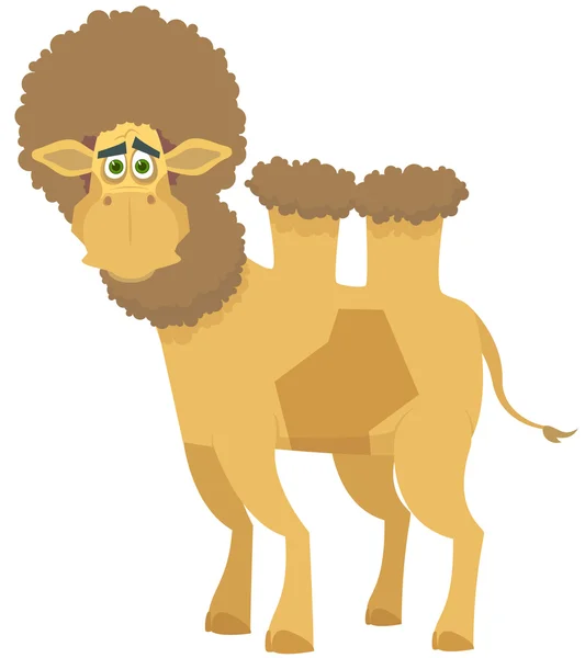 Camello. Una ilustración vectorial — Vector de stock